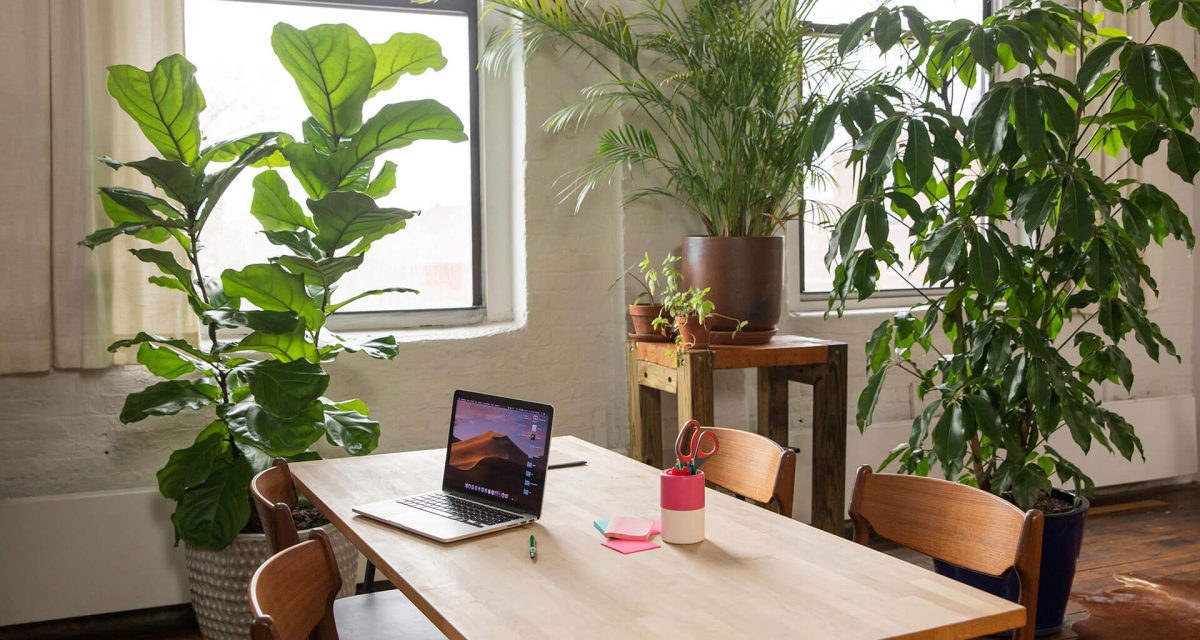 How Flexible Workspaces Help You Productive